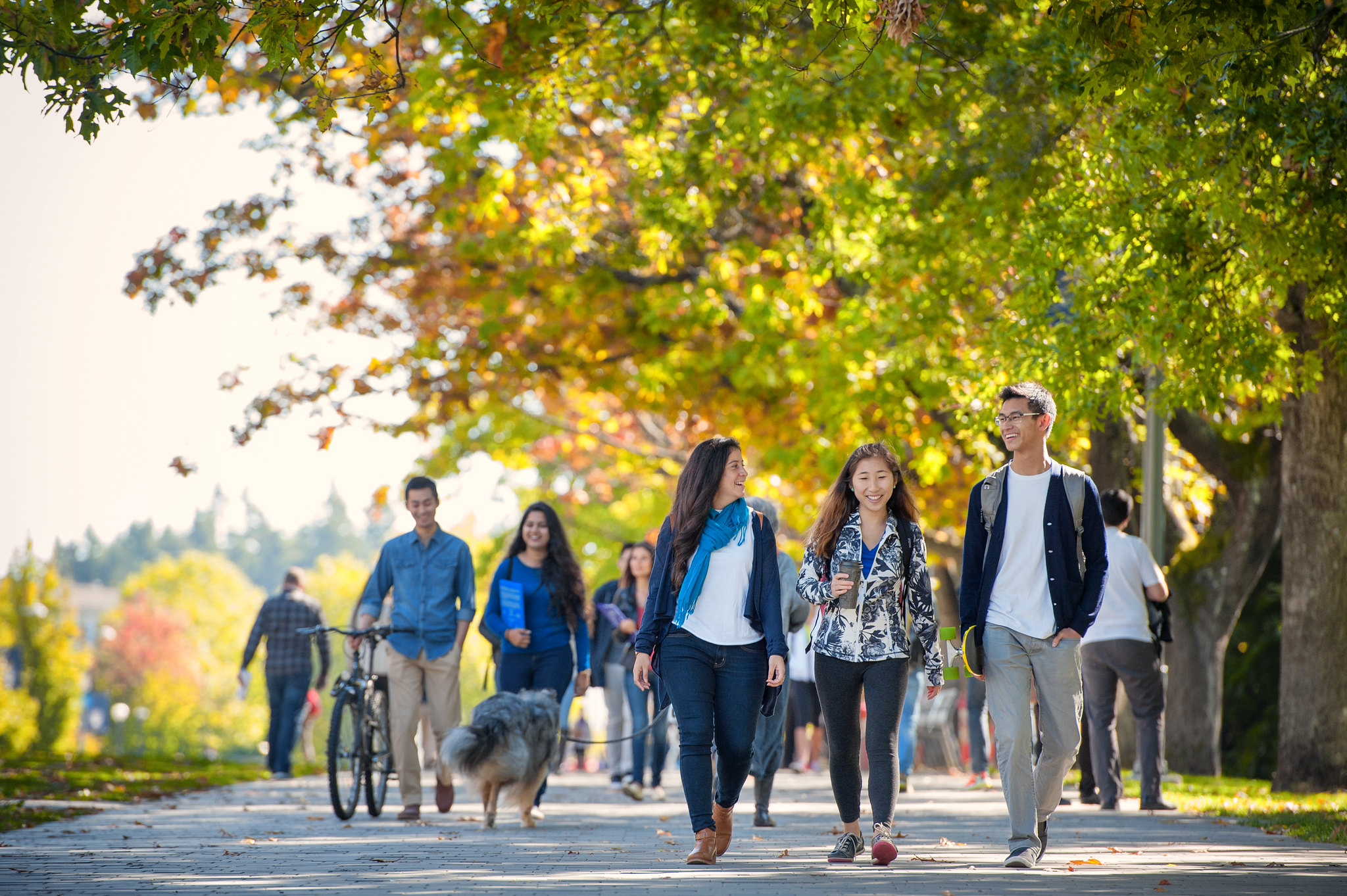 ubc students