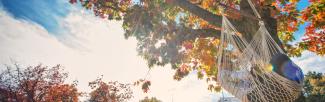 Net hammock in nice fall-coloured tree