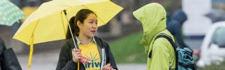 Someone holding a yellow umbrella, yellow bag, and wearing a yellow shirt