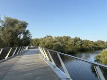 Bridge at University of Limerick