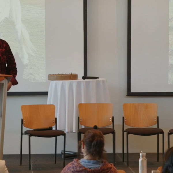 Art Napoleon presenting